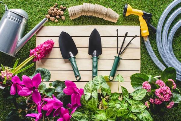 Designing Green Spring Gardens: An Exploration